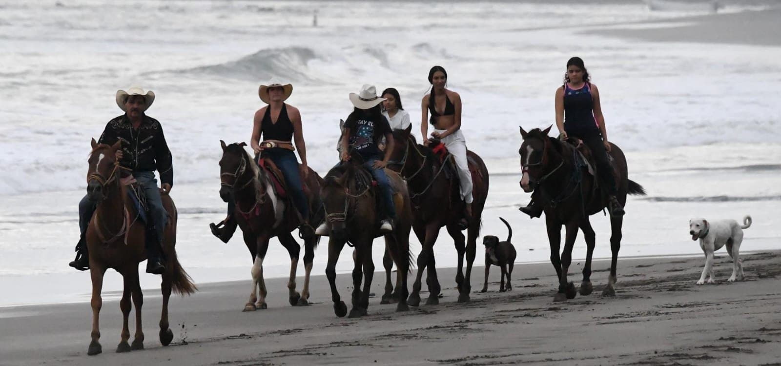 Group of riders on horseback along the sandy shoreline of Jacó Beach, Costa Rica