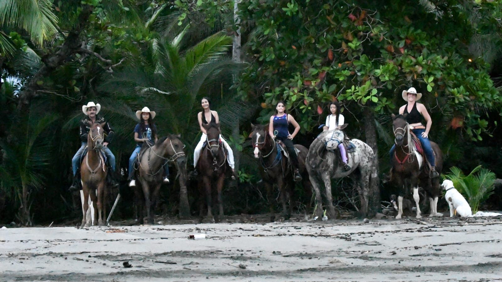 Horseback Riding Tour photo 2